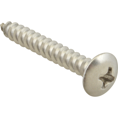 SCREW, SM/TH/SS 100