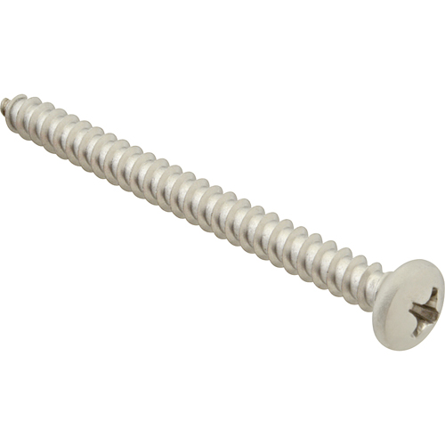 SCREW, SM/PH/SS (100)