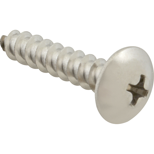 SCREW, SM/TH/SS 100