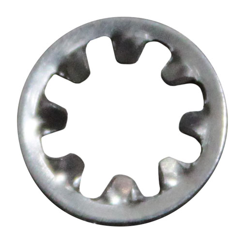 INT 10 LOCK WASHER