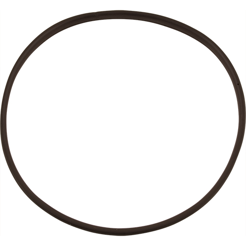 GASKET, DOOR (CS 6 23)